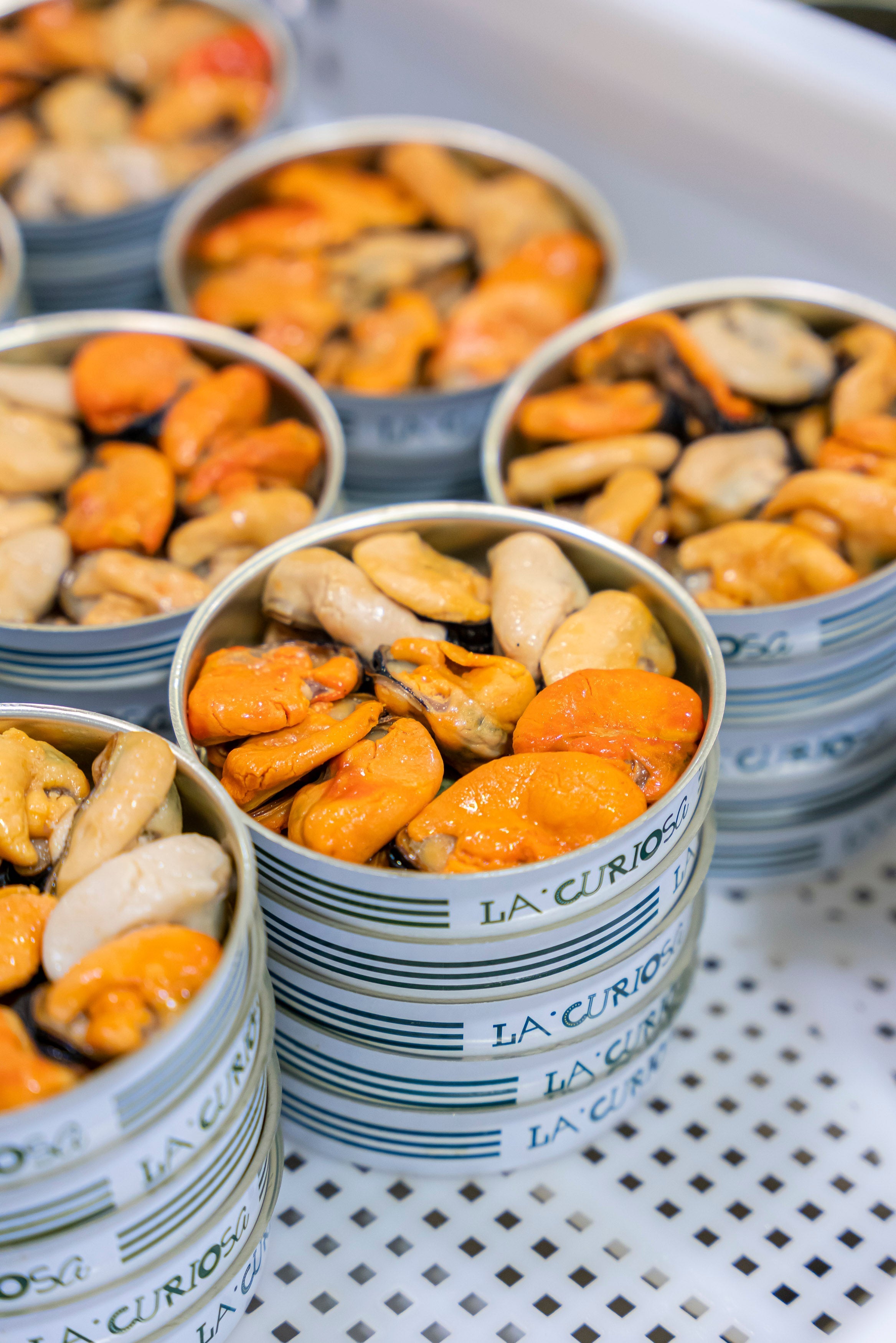 CULTURE: Inside Galicia's Mussel Harvest