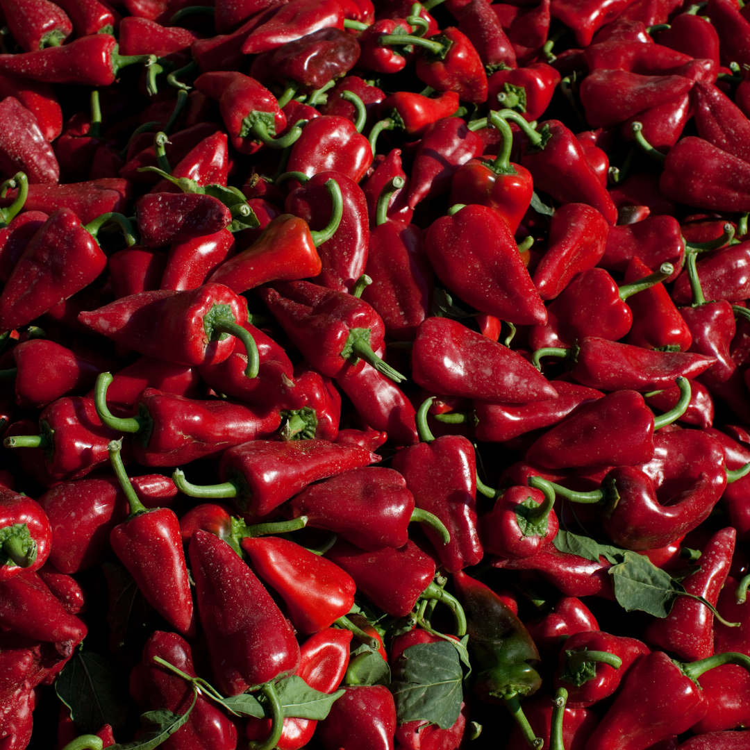 An overhead image of a bundle of red peppers from Spain.