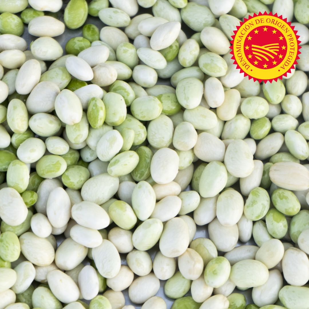 LA CATEDRAL Habitas Broadbeans in Olive Oil (PDO)