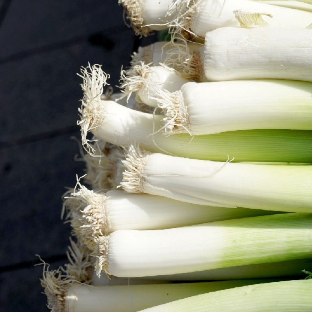 LA CATEDRAL Leeks