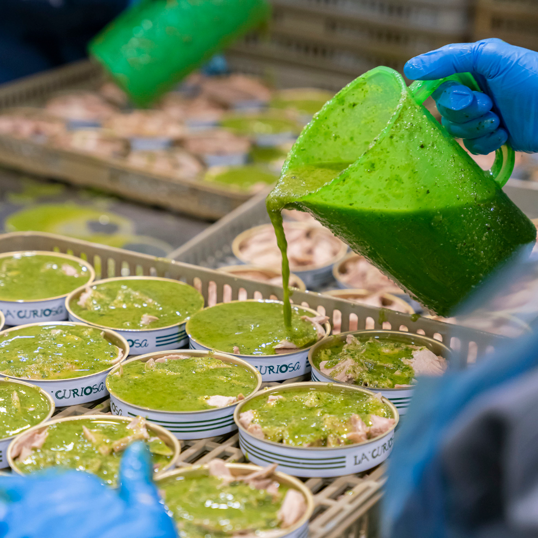 A factory worker wearing blue gloves pours vibrant green pesto sauce from a jug into open tins of La Curiosa yellowfin tuna belly. The tins are arranged in a tray, some already filled with pesto while others still show visible pieces of tuna. The production setting is clean and orderly, indicating careful food preparation.