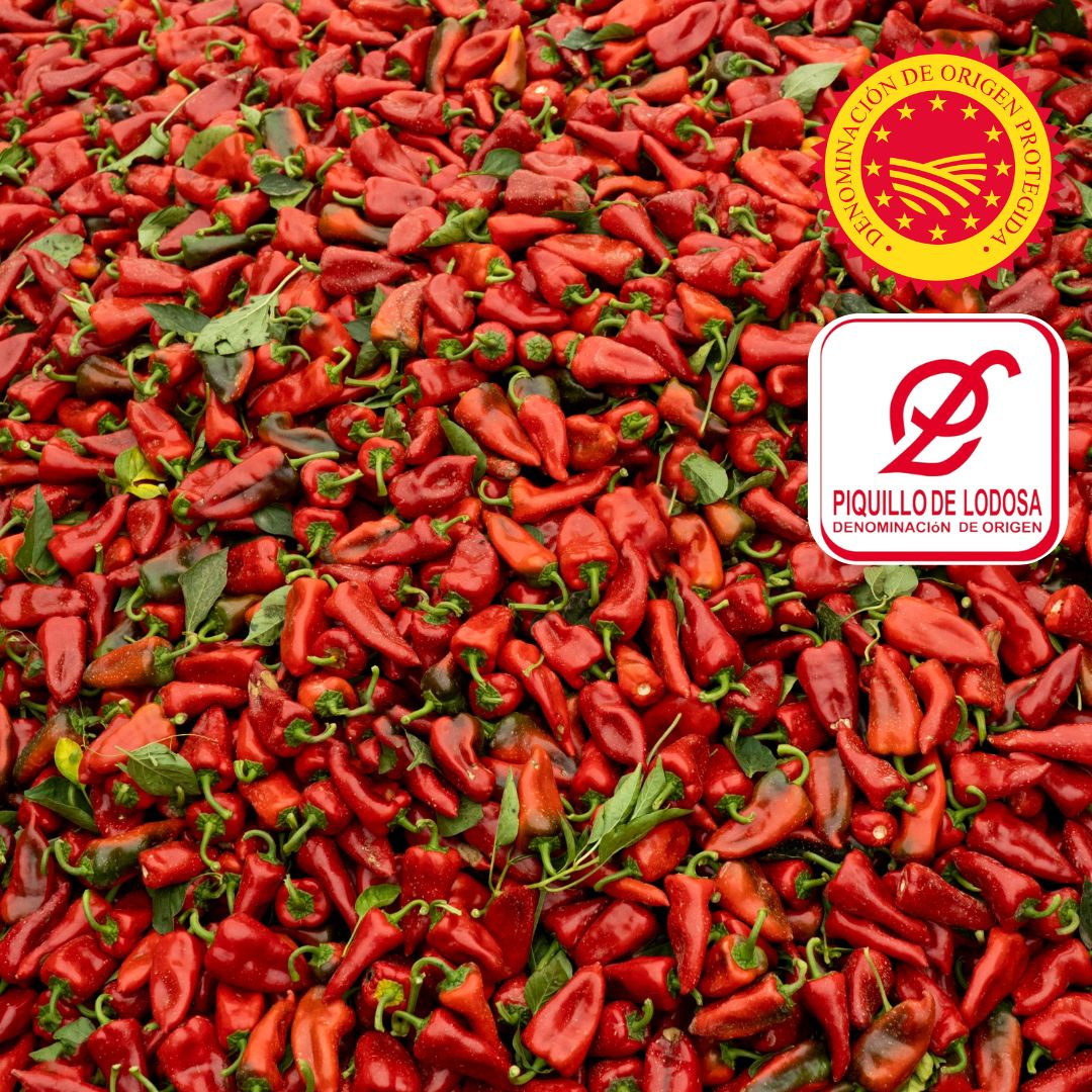 A vibrant harvest of Piquillo de Lodosa peppers fills the frame with deep red hues and green stems. Displayed with DOP and Denominación de Origen labels.