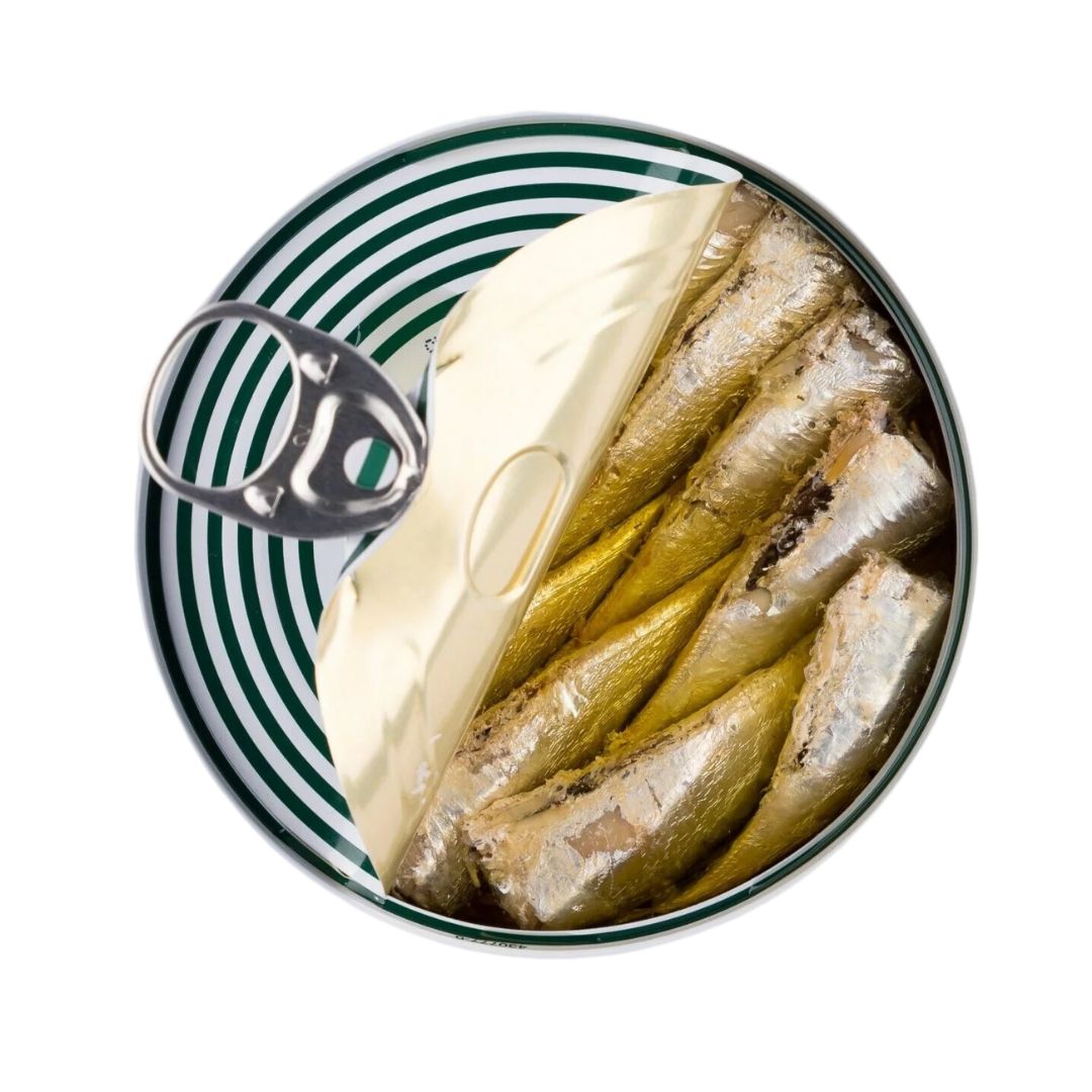 A close-up of an opened La Curiosa sardine tin reveals perfectly aligned, glistening sardines preserved in premium olive oil. The striped green and white lid adds a modern Spanish flair to this gourmet seafood delicacy, ideal for culinary enthusiasts seeking authentic canned fish with style.