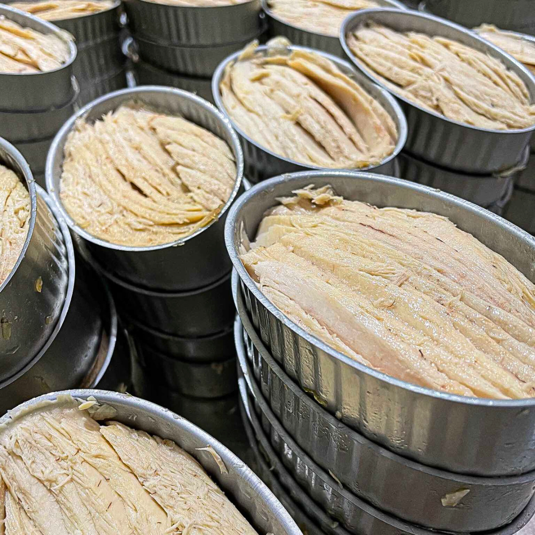 Close-up view of opened tins filled with tender, hand-packed fillets of white albacore tuna belly. The tuna is neatly layered in olive oil, showcasing the premium texture and artisanal quality of Ventresca de Bonito del Norte from Spain.