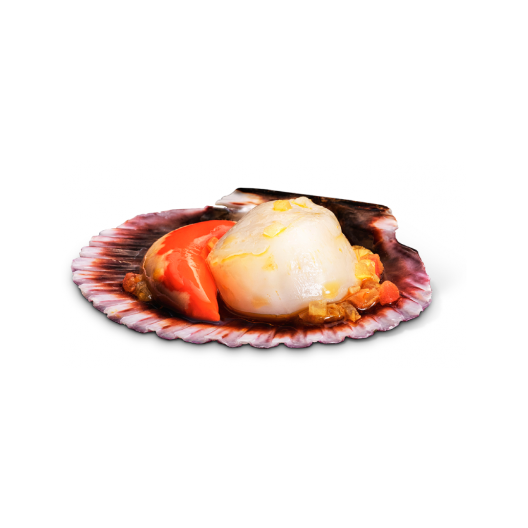 A single zamburiña (small scallop) served in its shell, bathed in a rich Galician vieira sauce with olive oil, red pepper, and onion. The tender seafood and vibrant garnish highlight authentic Spanish seafood cuisine.