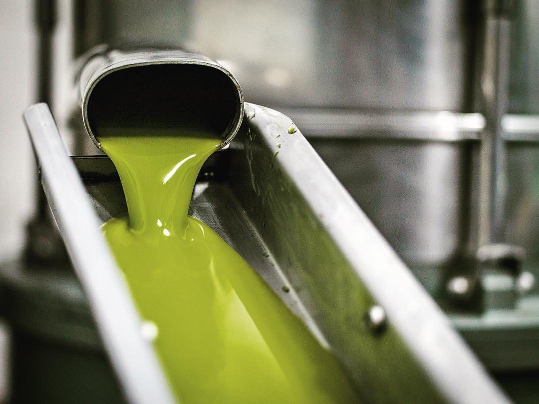 MASIA EL ALTET High Quality Olive Oil