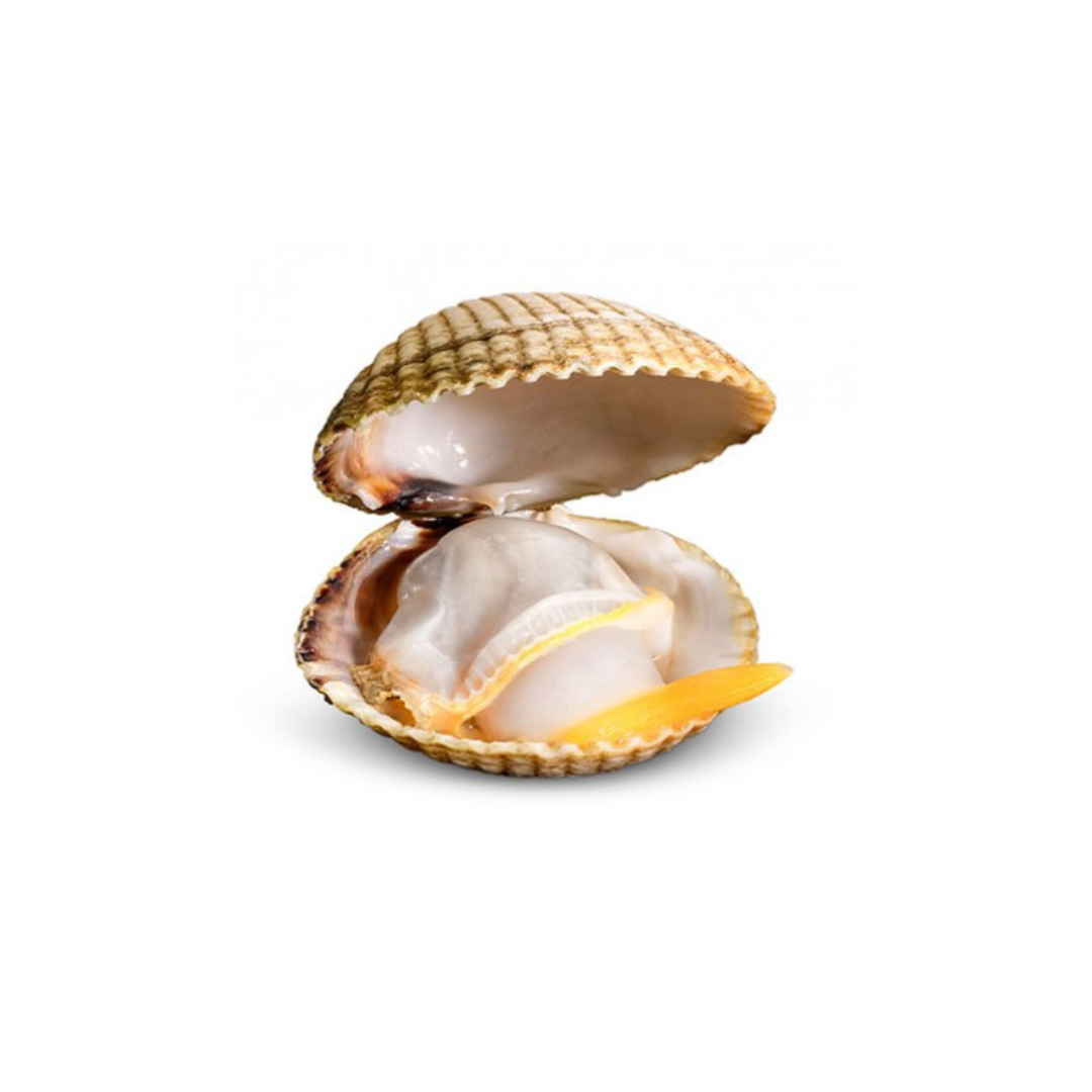 CABO DE PEÑAS Cockles in Brine