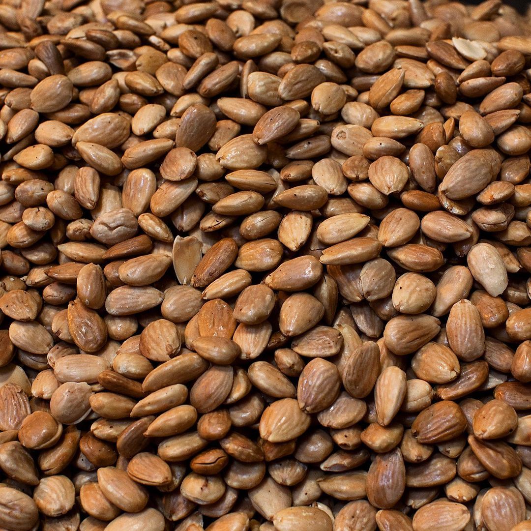 Close-up of roasted Spanish Marcona almonds. Premium Mediterranean nut ideal for tapas, cheese platters, and gourmet snacks.