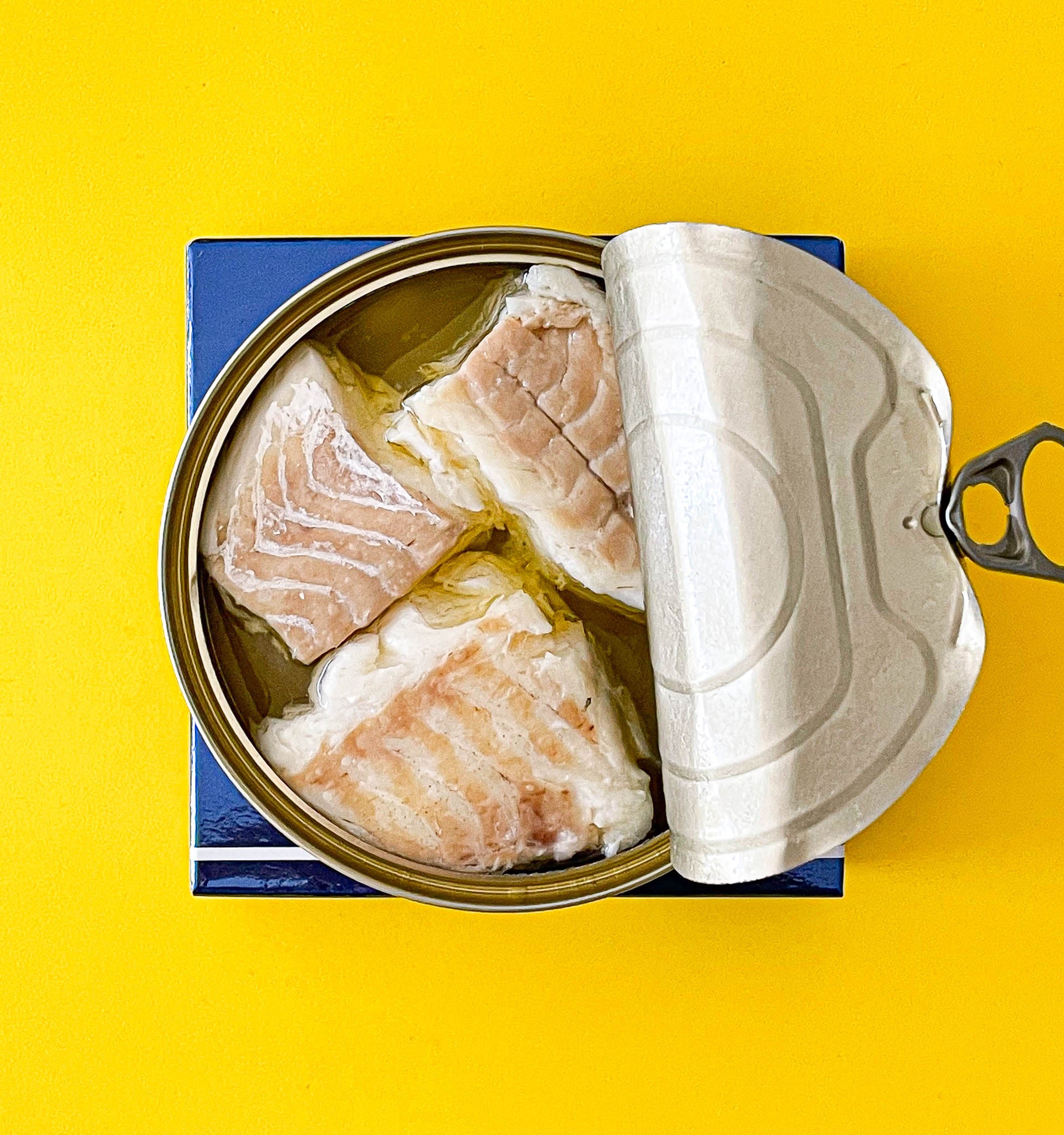 Alalunga Hake Loins in Olive Oil